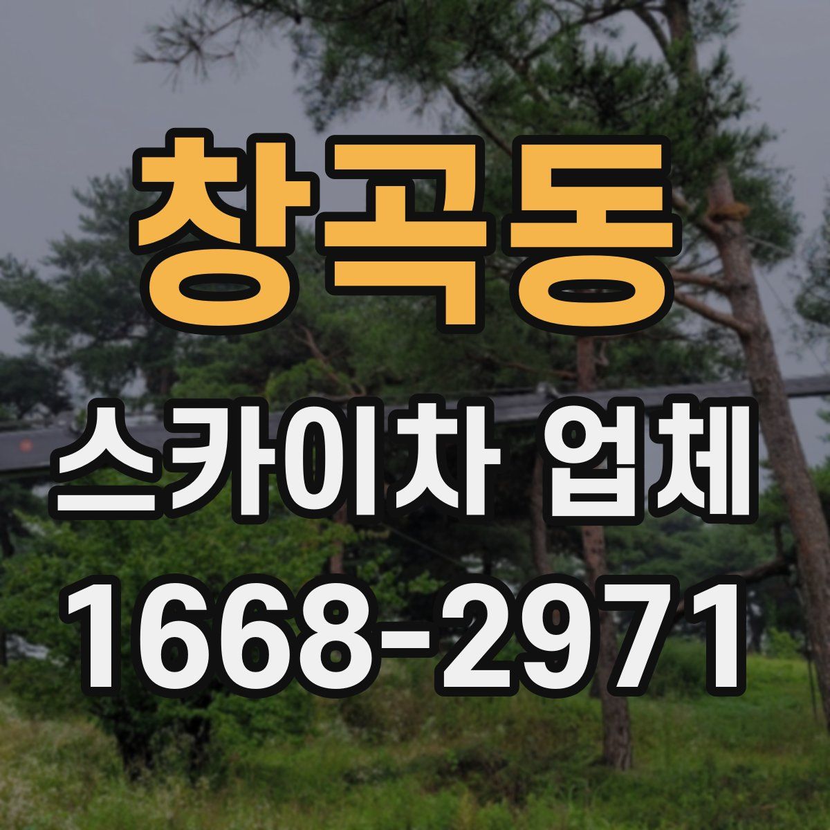 창곡동 스카이차 업체