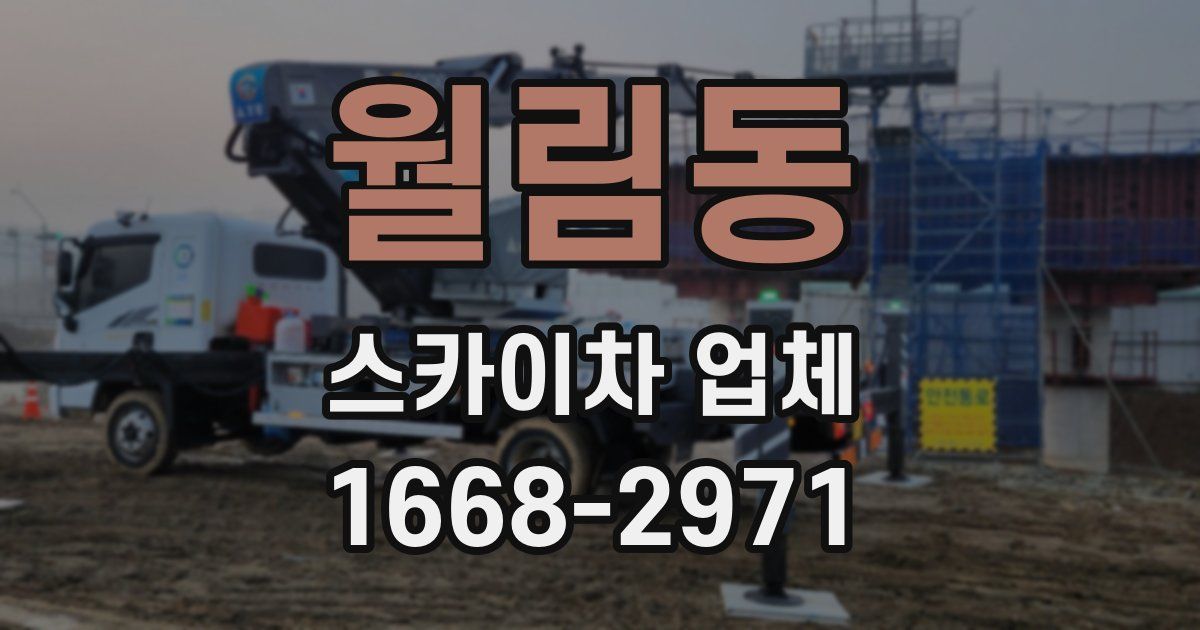 월림동 스카이차 업체