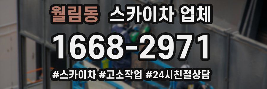 월림동 스카이차 업체