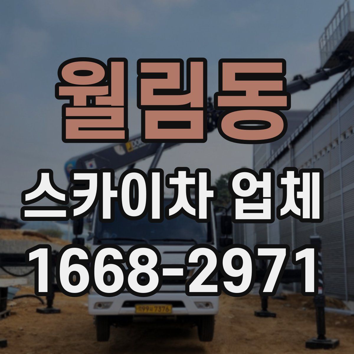 월림동 스카이차 업체