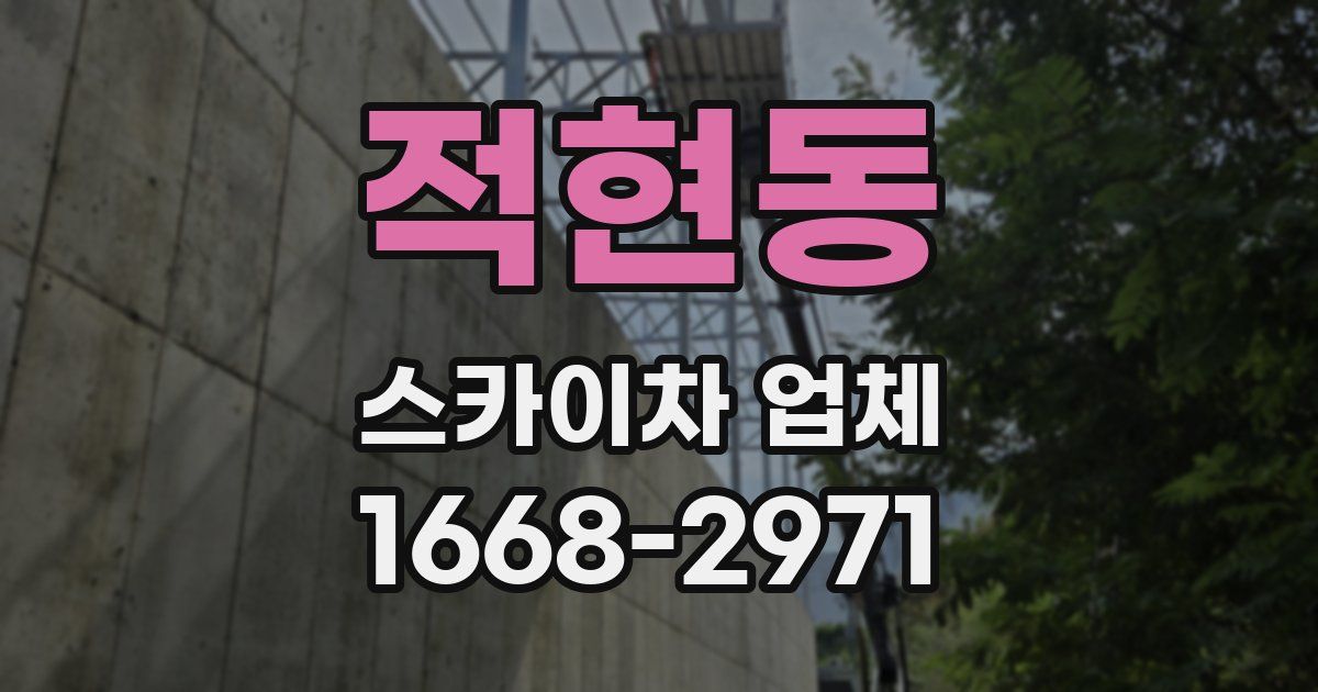 적현동 스카이차 업체