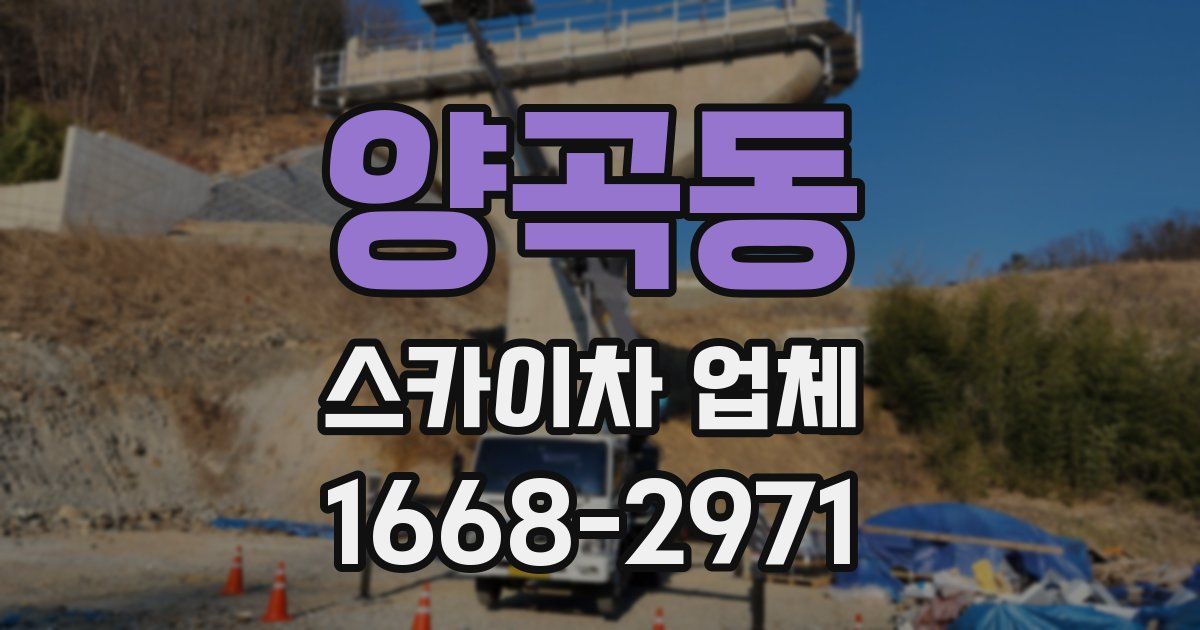 양곡동 스카이차 업체