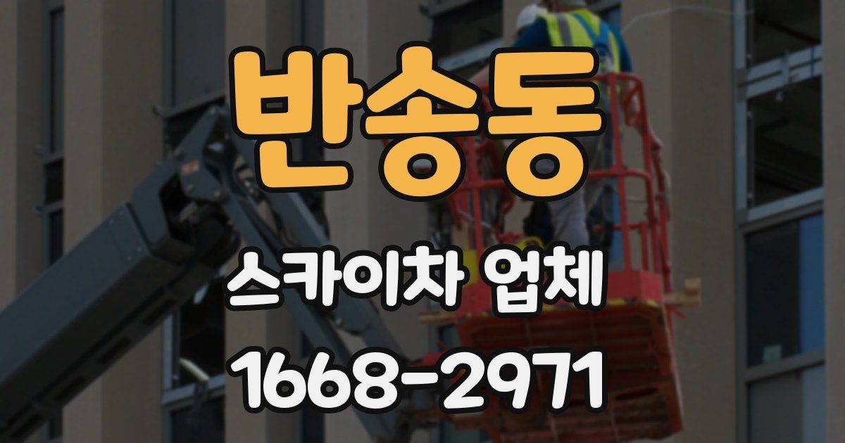 반송동 스카이차 업체