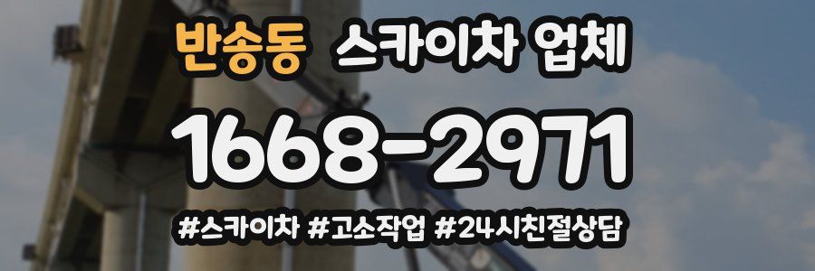 반송동 스카이차 업체