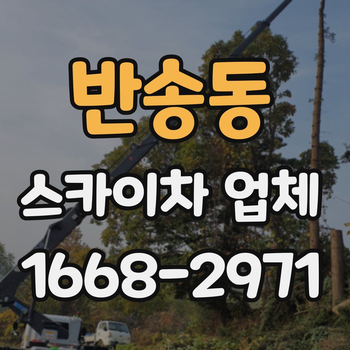 반송동 스카이차 업체