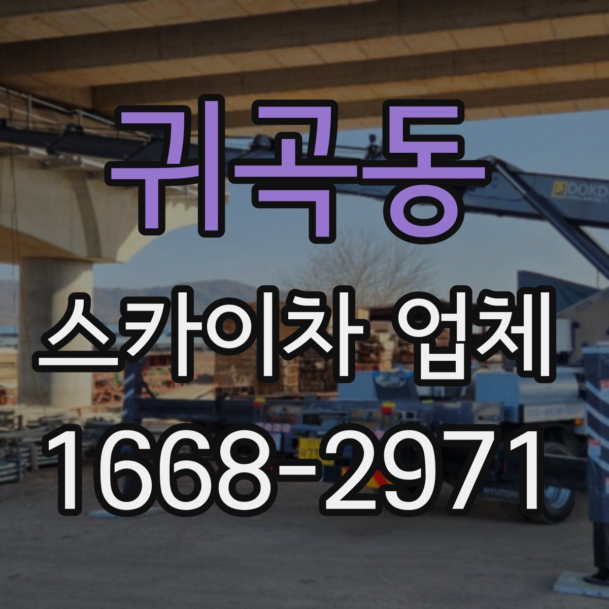 귀곡동 스카이차 업체