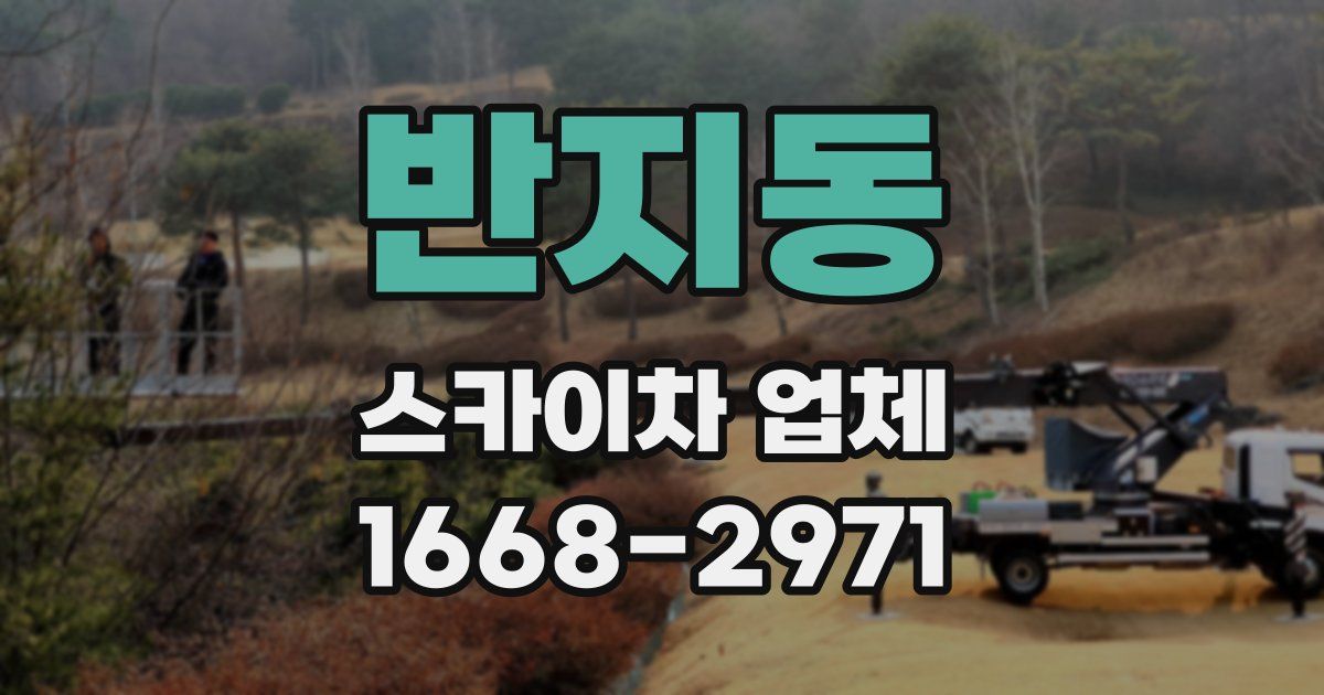 반지동 스카이차 업체