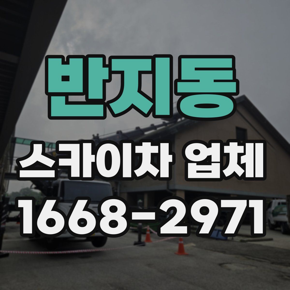 반지동 스카이차 업체