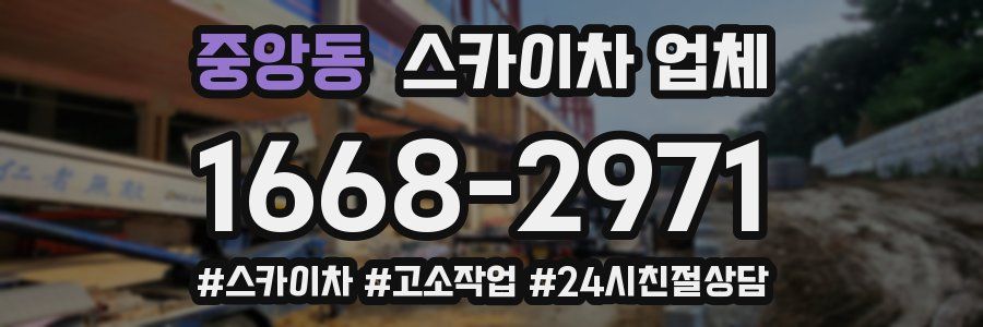중앙동 스카이차 업체