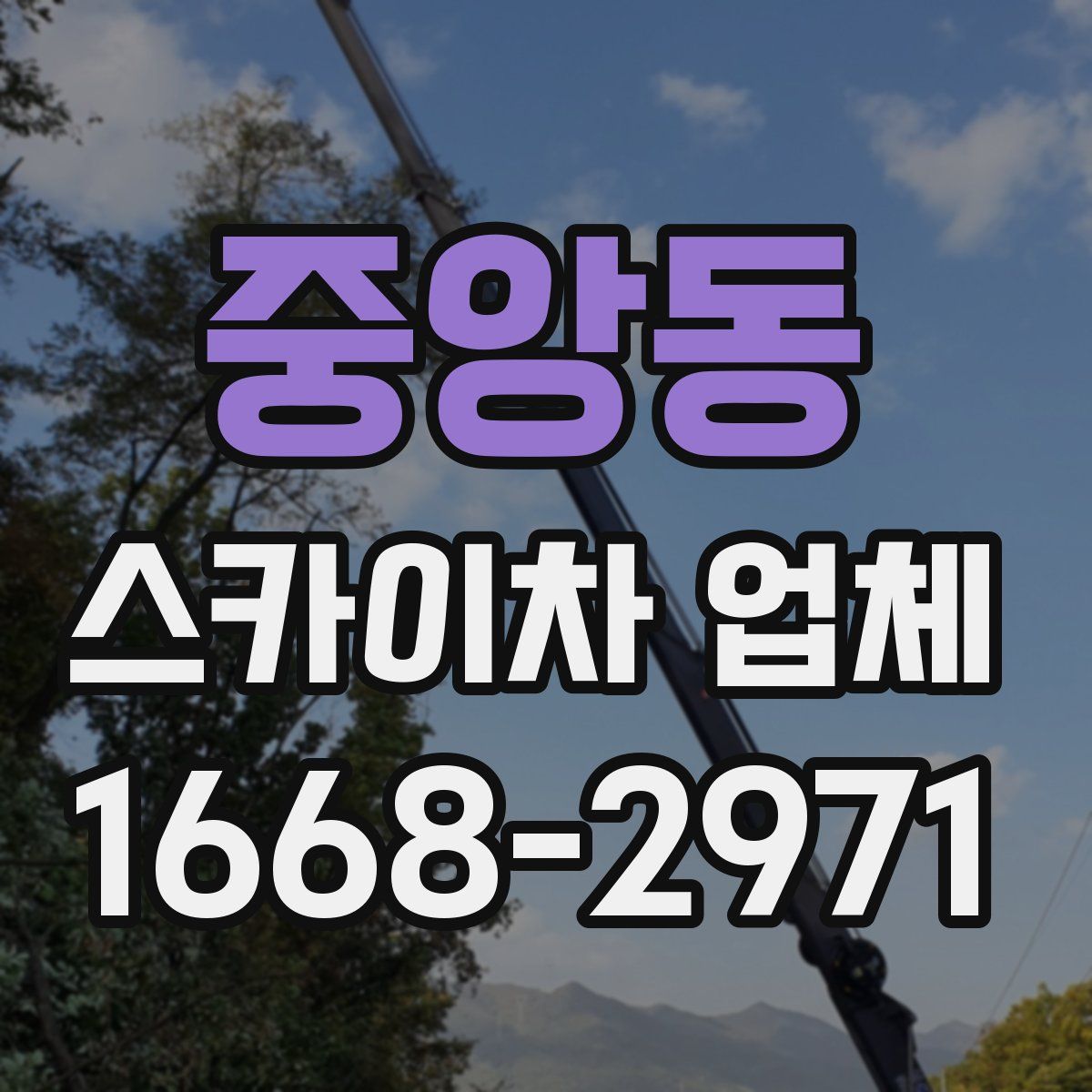 중앙동 스카이차 업체