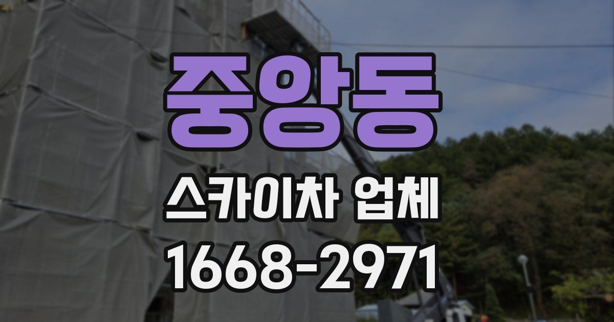 중앙동 스카이차 업체