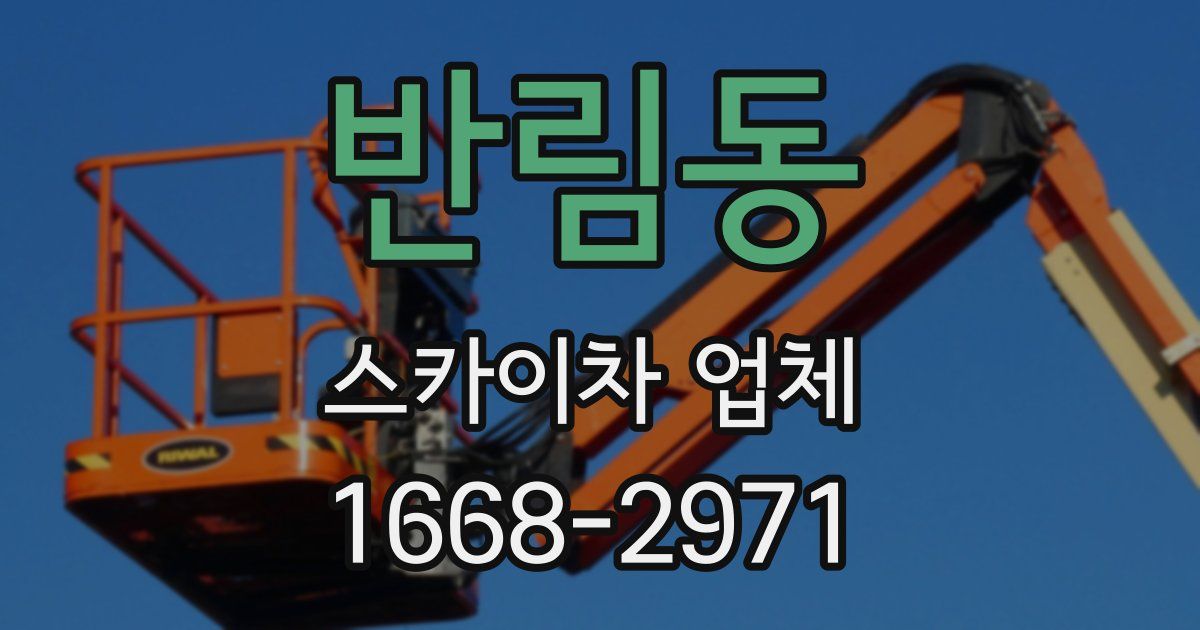 반림동 스카이차 업체