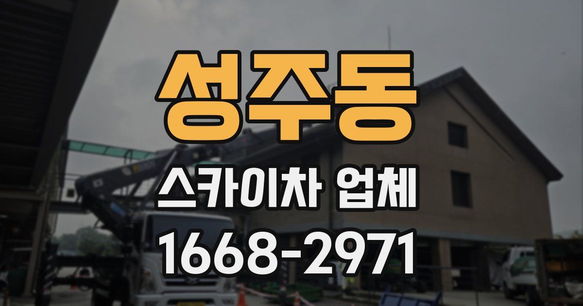 성주동 스카이차 업체