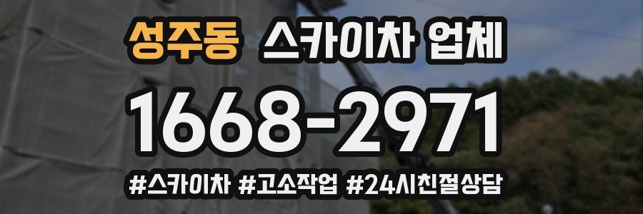 성주동 스카이차 업체