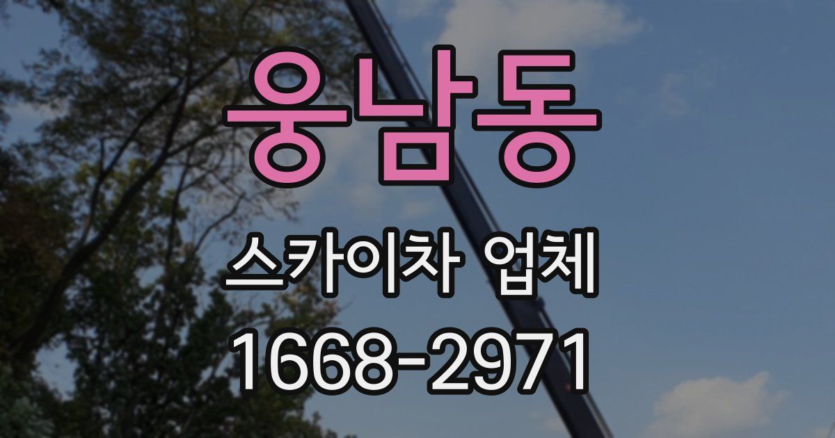 웅남동 스카이차 업체