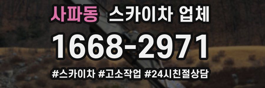사파동 스카이차 업체