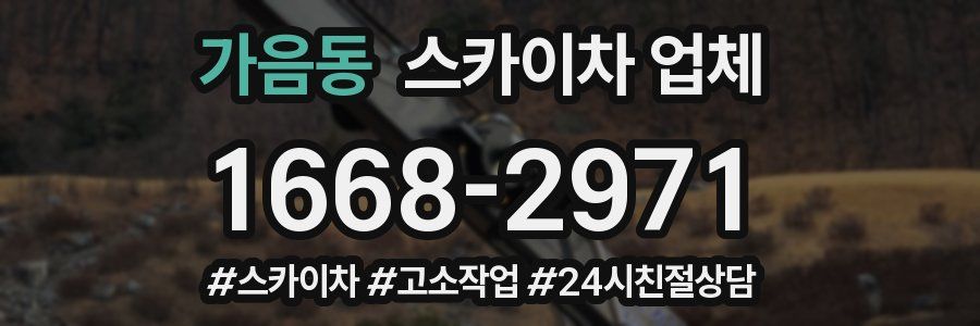 가음동 스카이차 업체