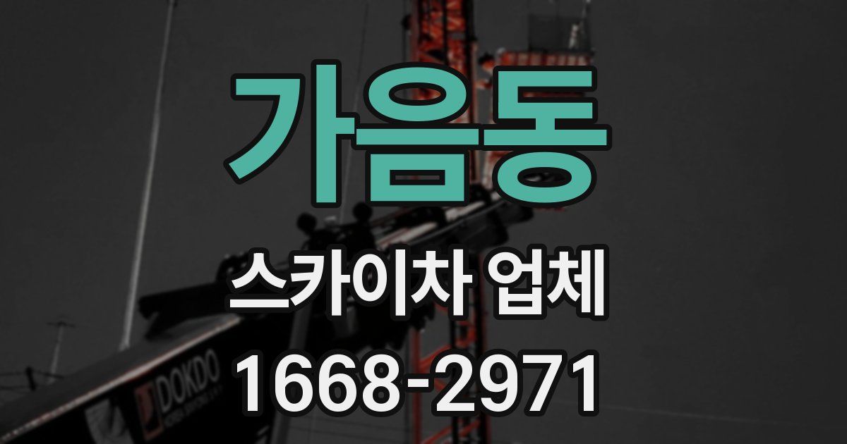 가음동 스카이차 업체