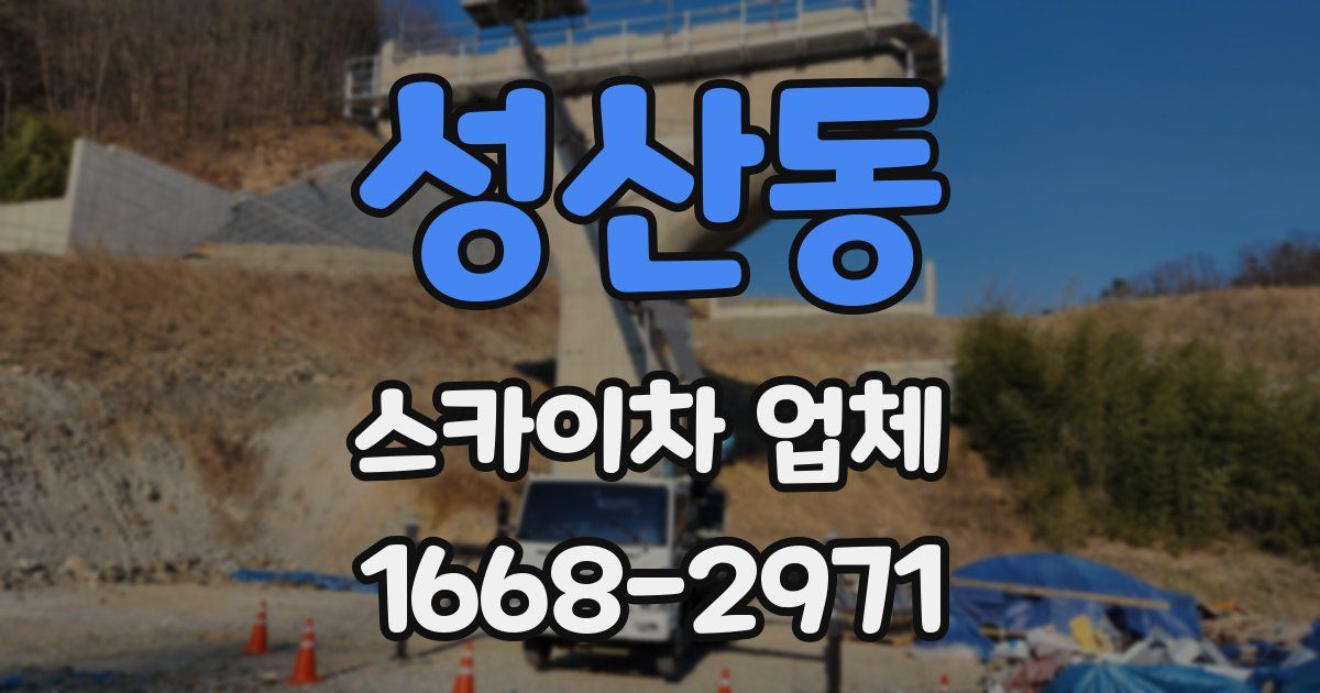 성산동 스카이차 업체