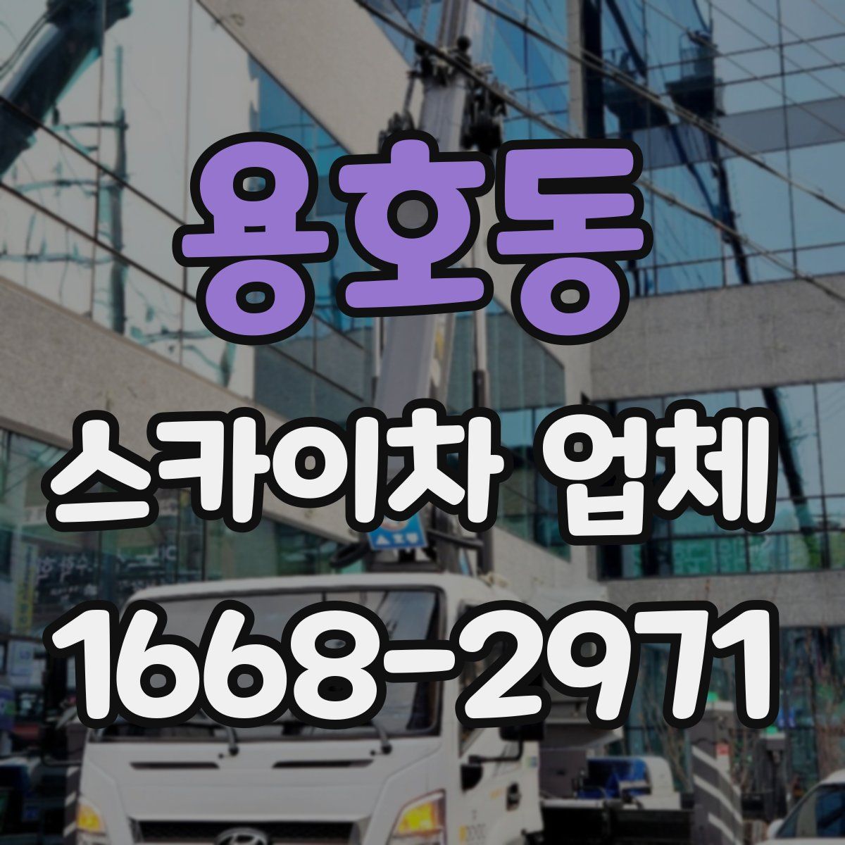 용호동 스카이차 업체