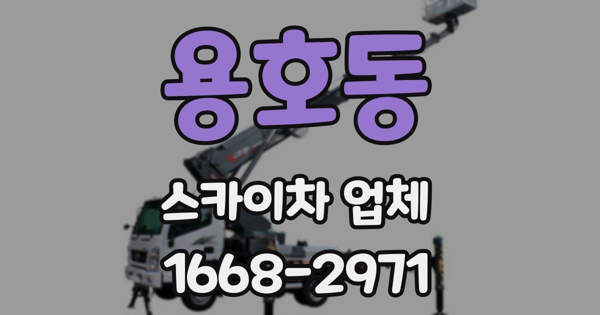 용호동 스카이차 업체