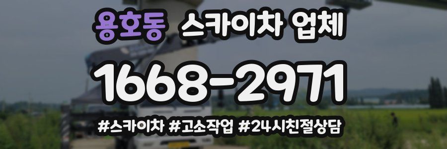 용호동 스카이차 업체