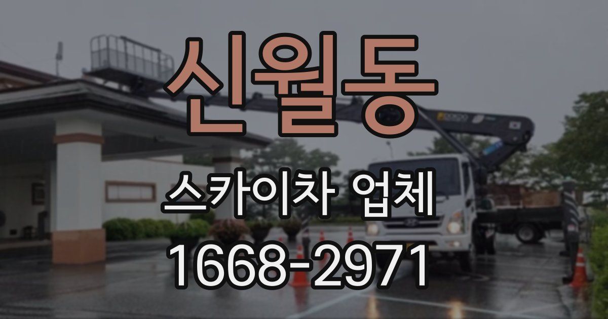 신월동 스카이차 업체