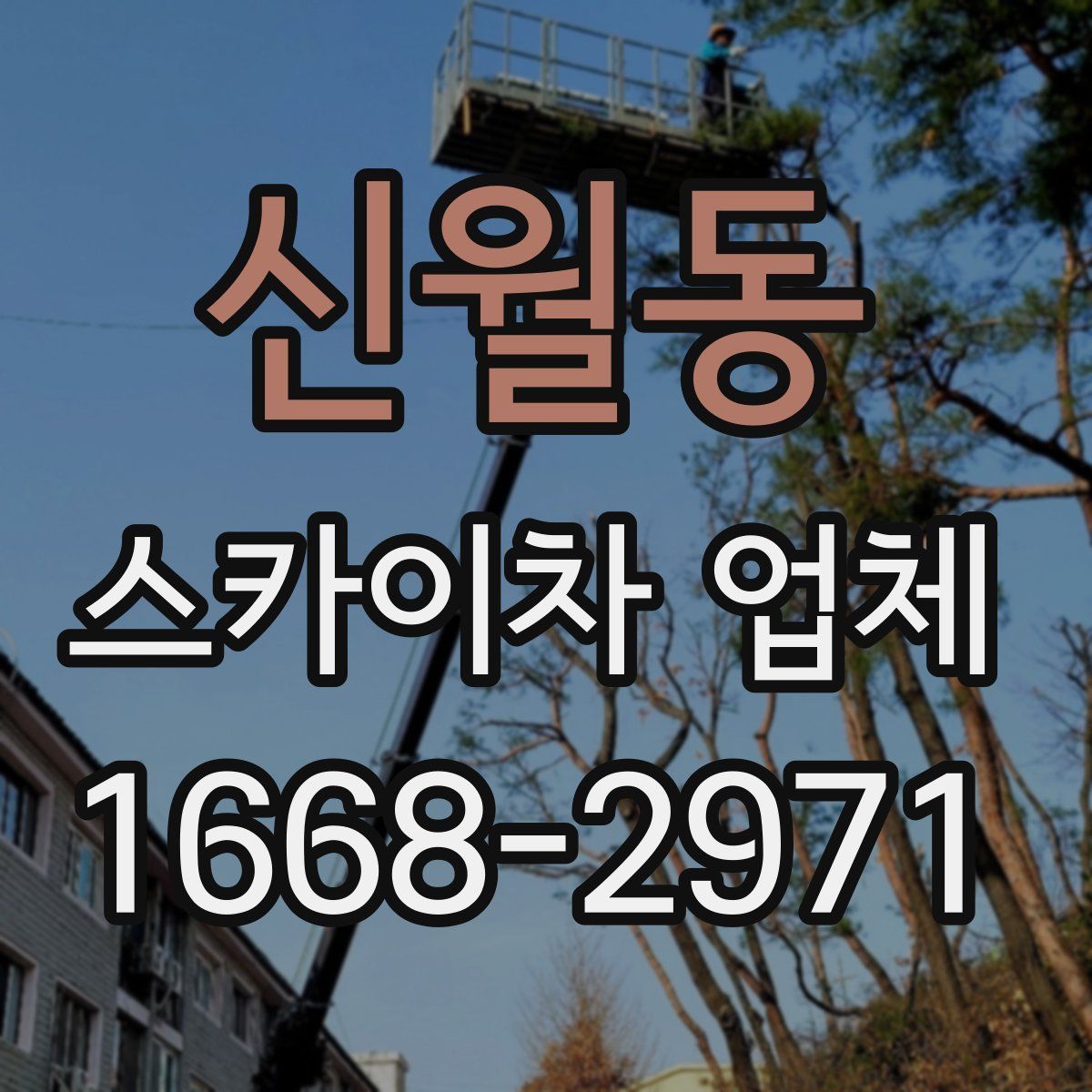 신월동 스카이차 업체