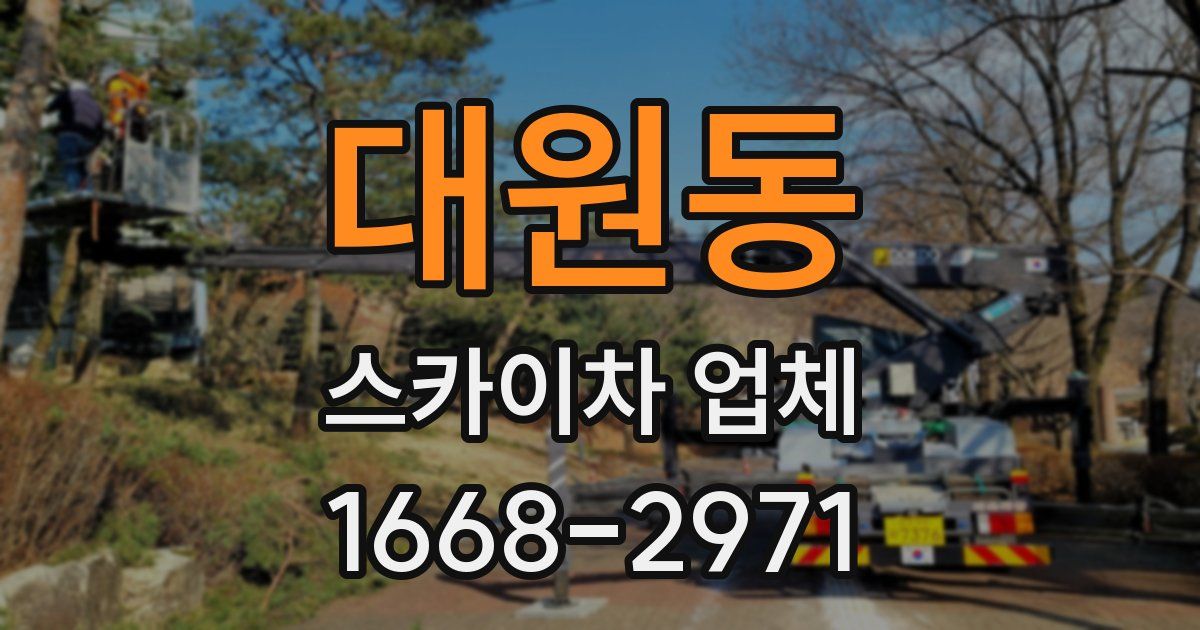 대원동 스카이차 업체
