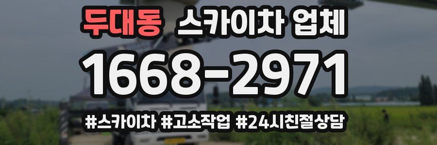 두대동 스카이차 업체