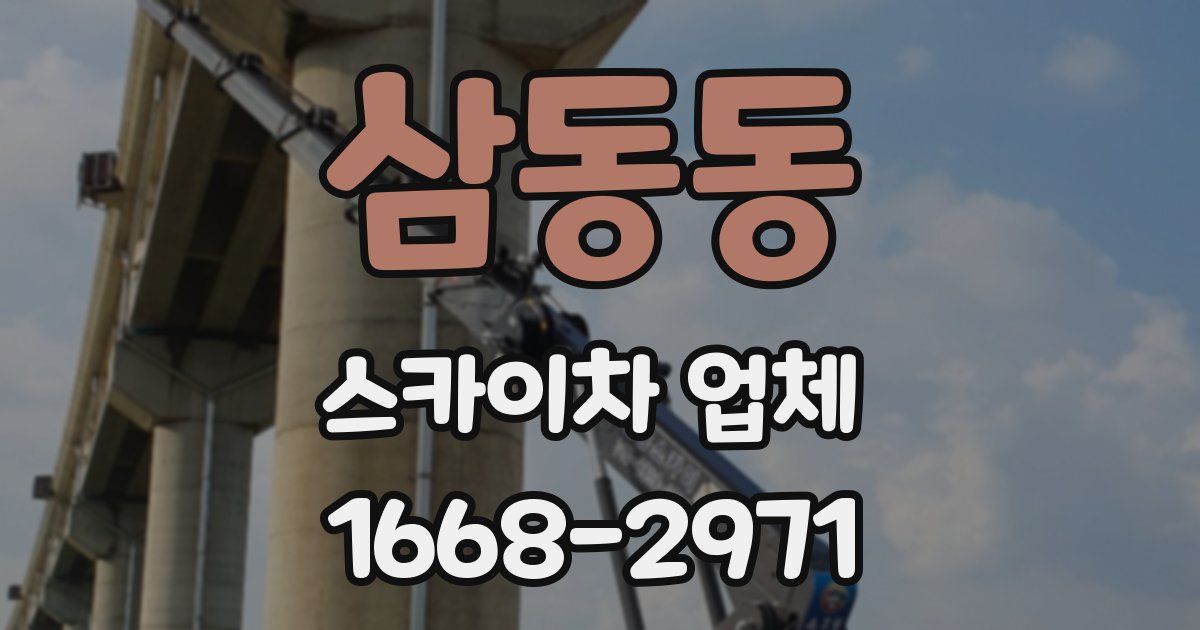 삼동동 스카이차 업체