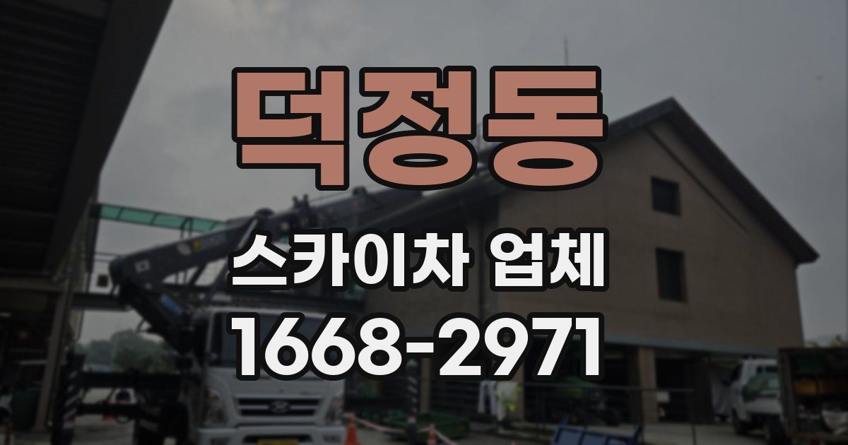 덕정동 스카이차 업체