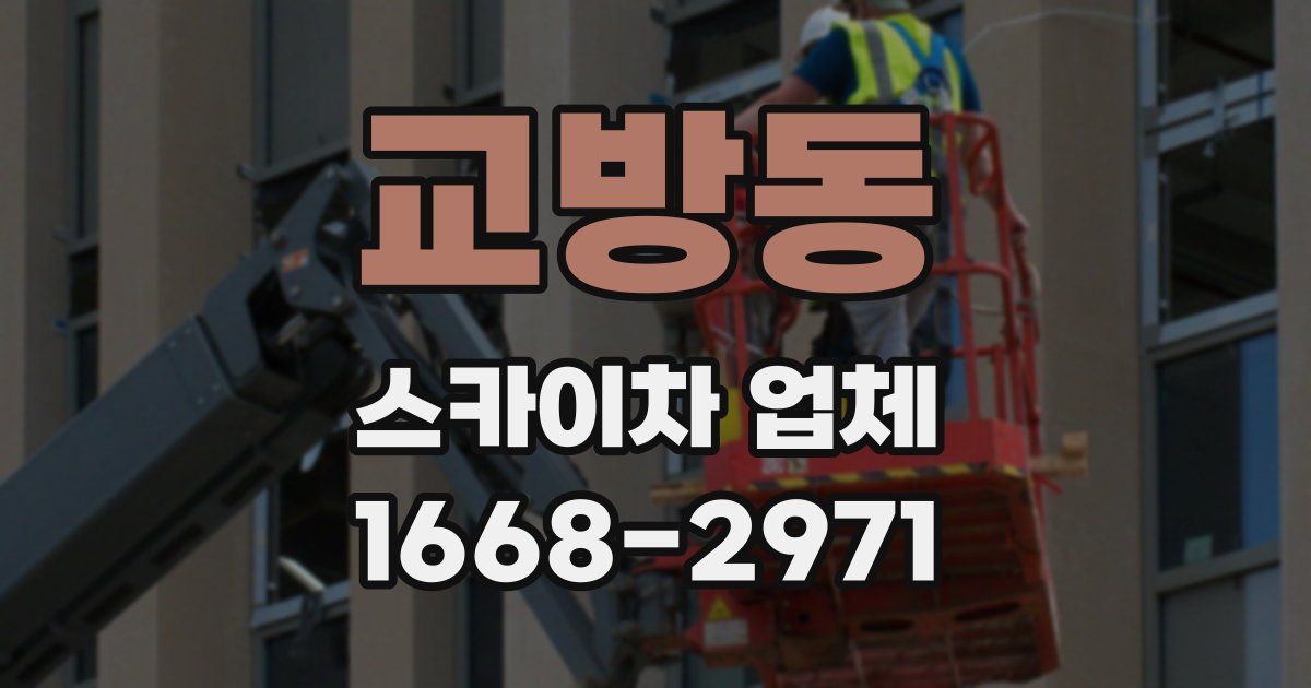 교방동 스카이차 업체