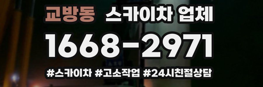 교방동 스카이차 업체