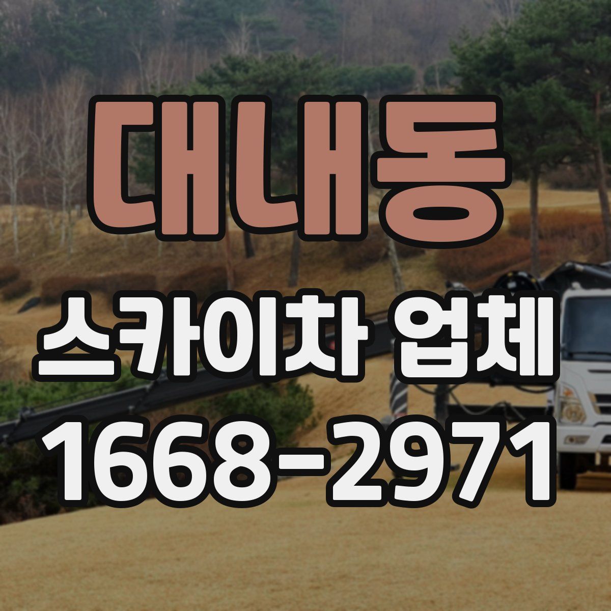 대내동 스카이차 업체
