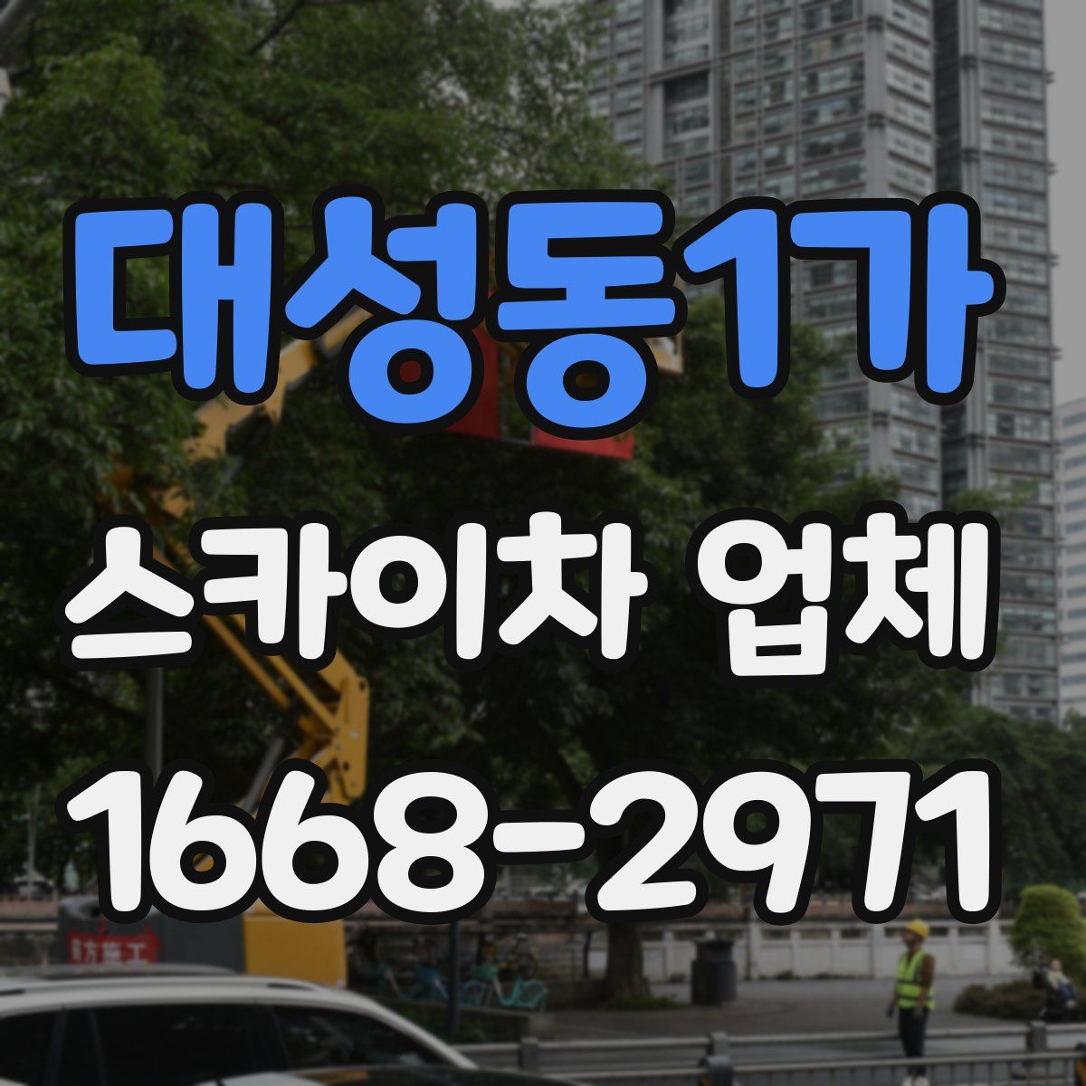 대성동1가 스카이차 업체