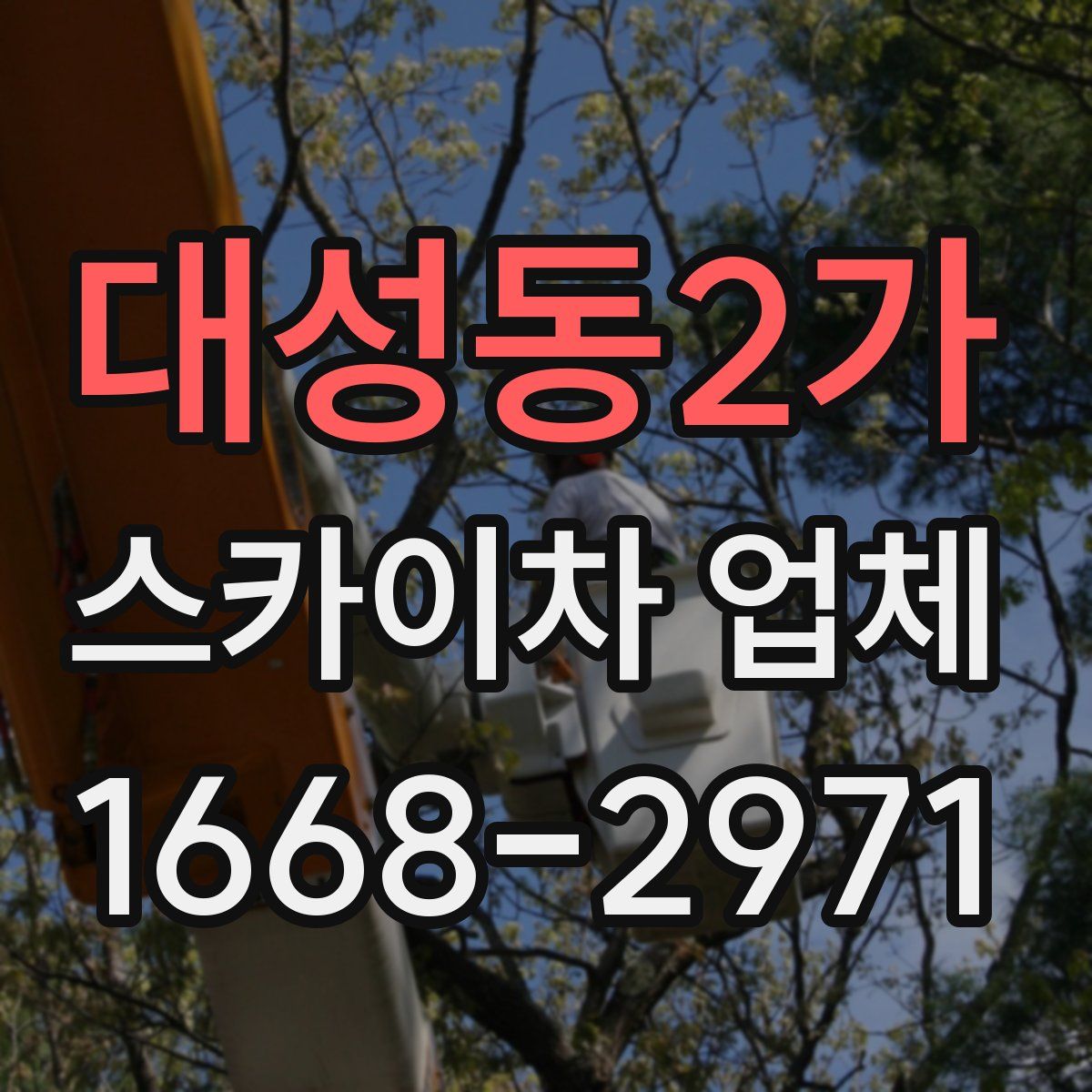 대성동2가 스카이차 업체