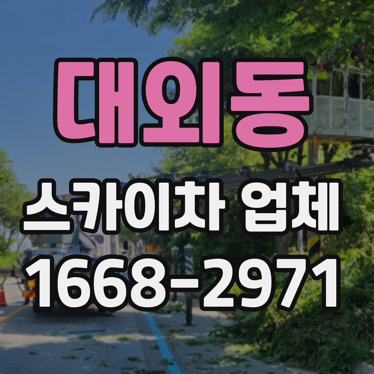대외동 스카이차 업체