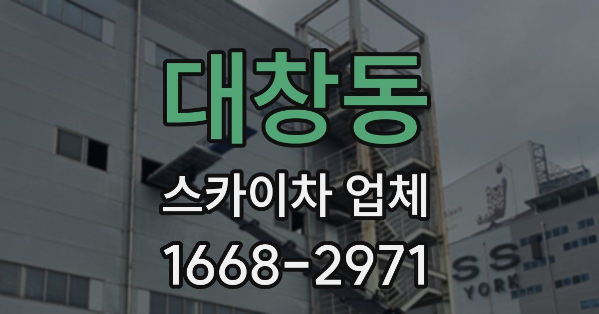 대창동 스카이차 업체
