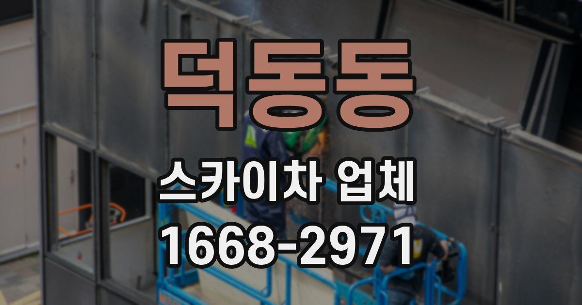 덕동동 스카이차 업체