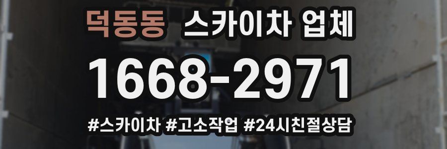 덕동동 스카이차 업체