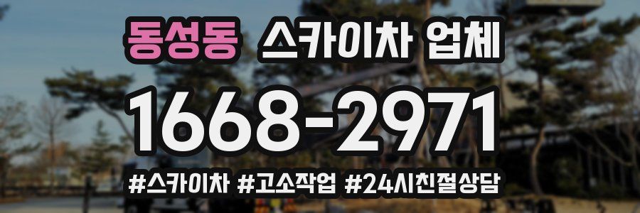 동성동 스카이차 업체