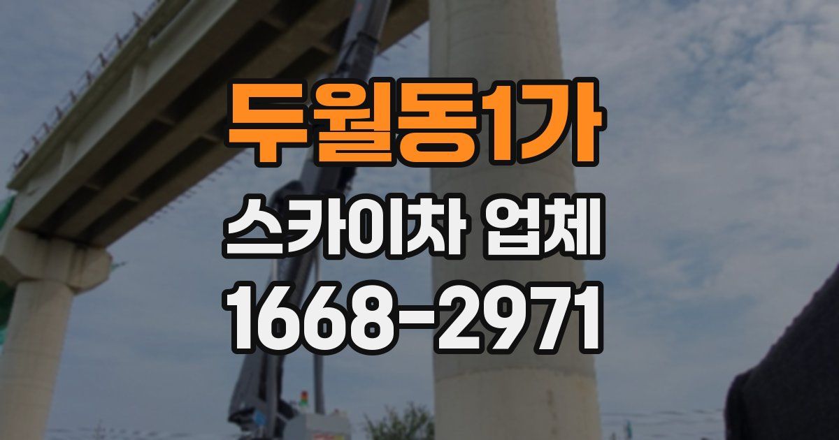 두월동1가 스카이차 업체