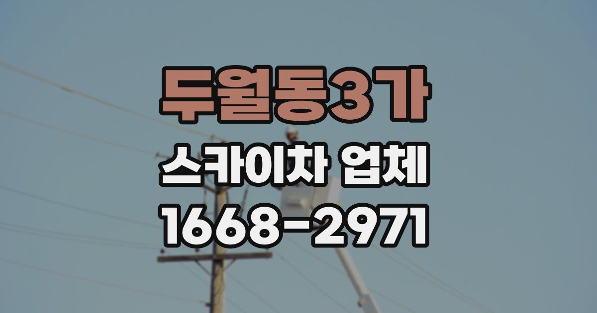 두월동3가 스카이차 업체