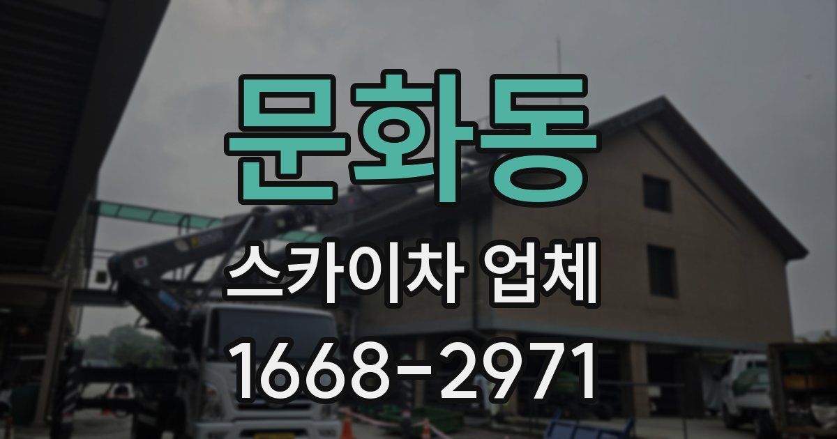 문화동 스카이차 업체