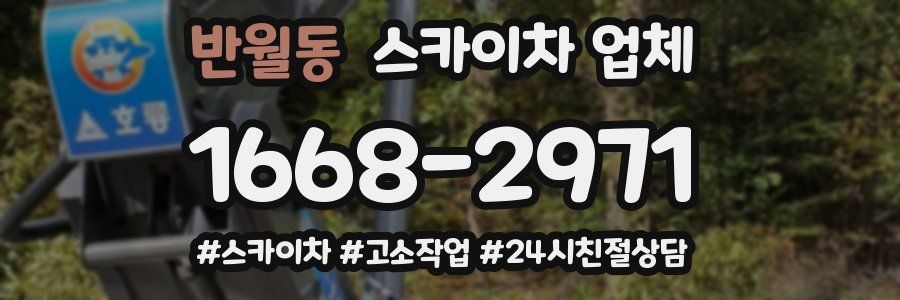 반월동 스카이차 업체