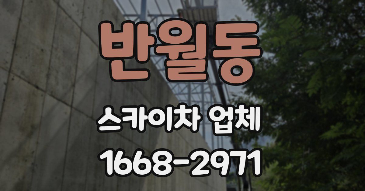 반월동 스카이차 업체