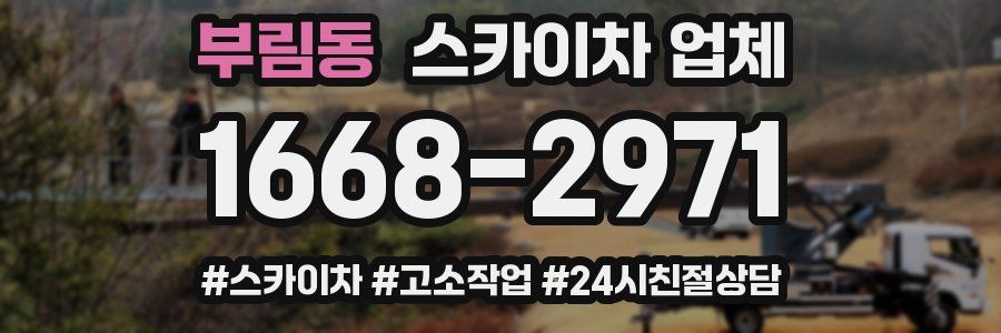 부림동 스카이차 업체