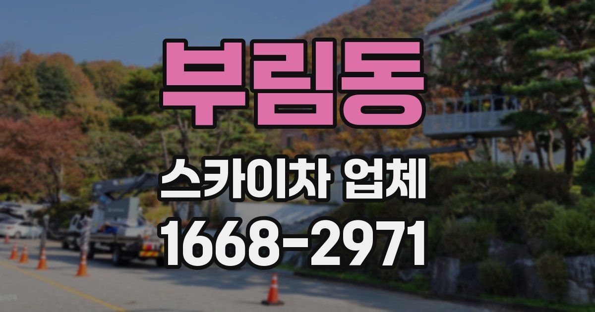 부림동 스카이차 업체