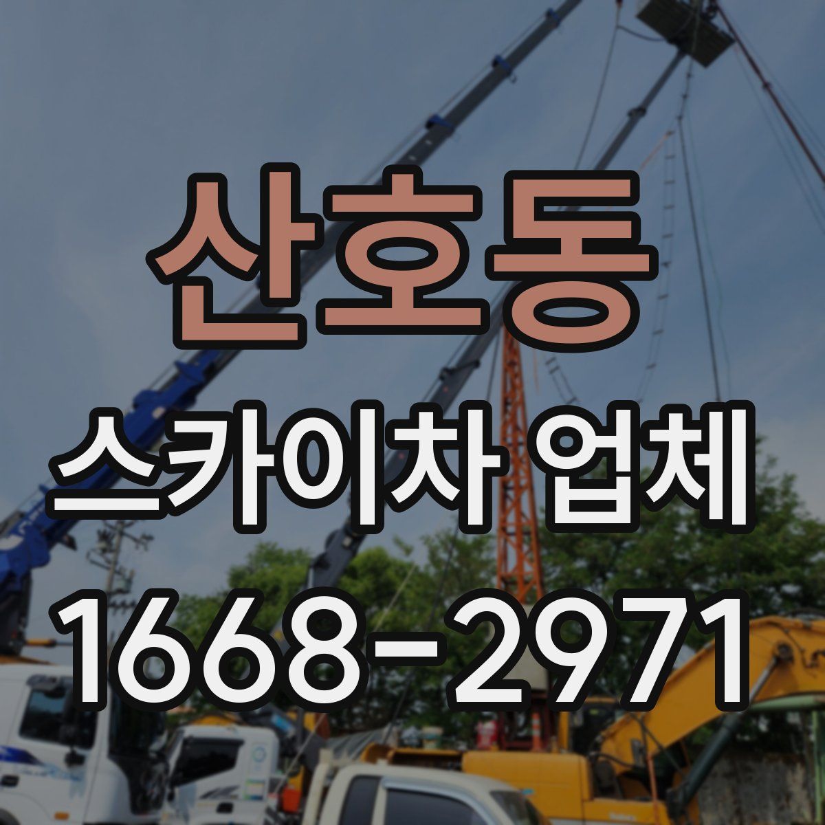 산호동 스카이차 업체
